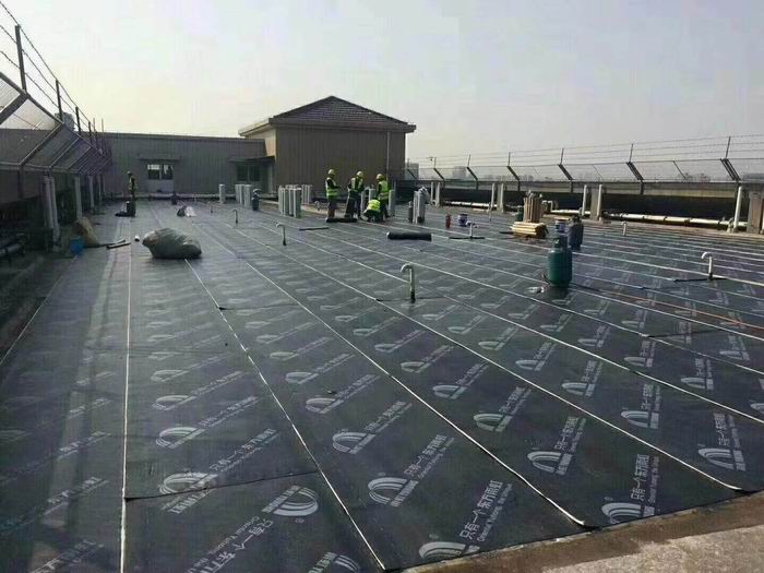 支塘镇楼面防水